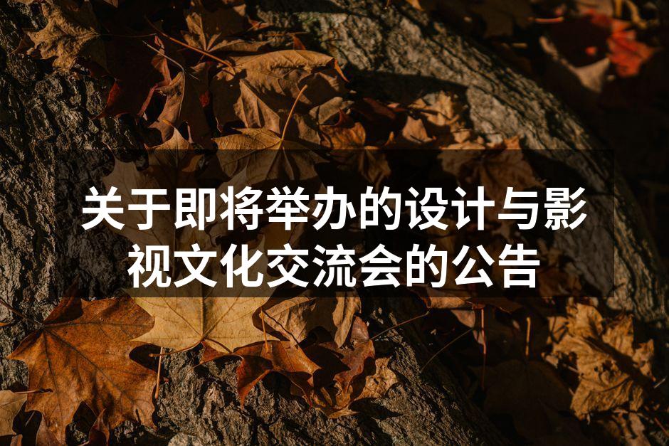 设计与影视交流会现场