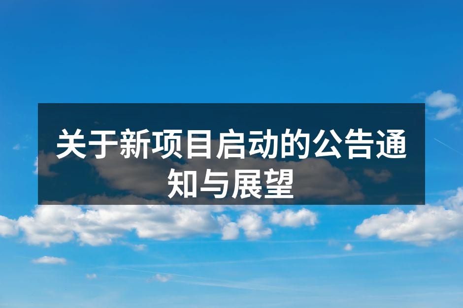 新项目展望